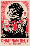 Obey the Kitty!