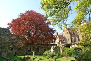 Canterbury Monk's Garden