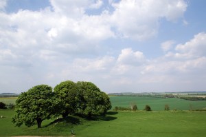 View from Old Sarum
