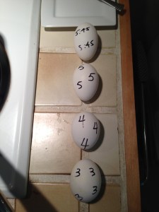 Poached Egg Time Trials