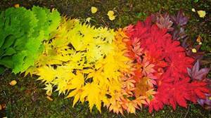 Bloedel Reserve, Bainbridge Island, WA