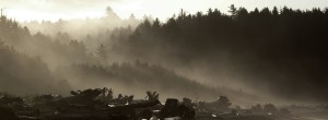 La Push Fog